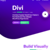 Mua Divi